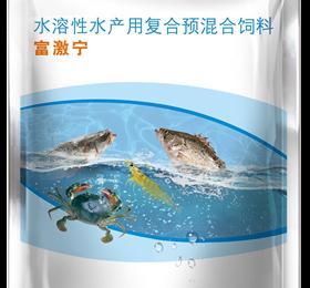 富激宁
